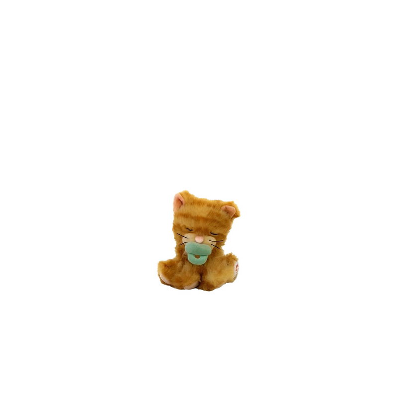 Chat Binky | Koda Ginger