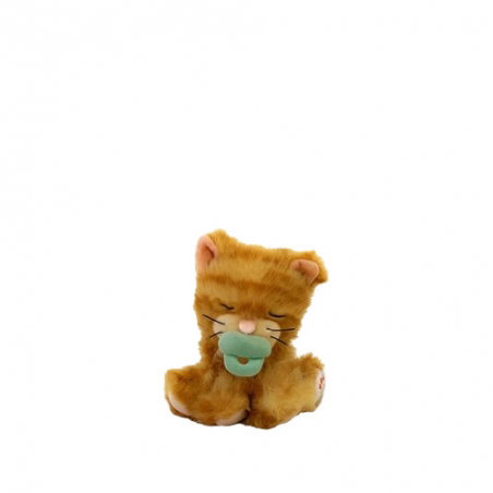 Chat Binky | Koda Ginger - Olli Ella