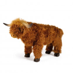Vache Highland - Wild and soft