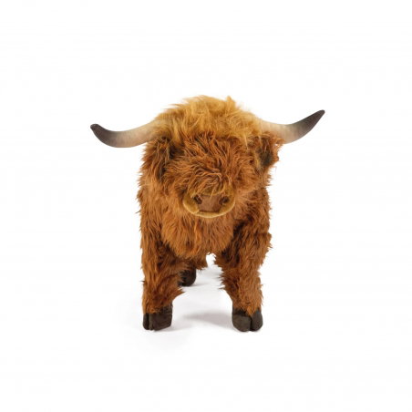 Vache Highland - Wild and soft