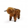 Vache Highland