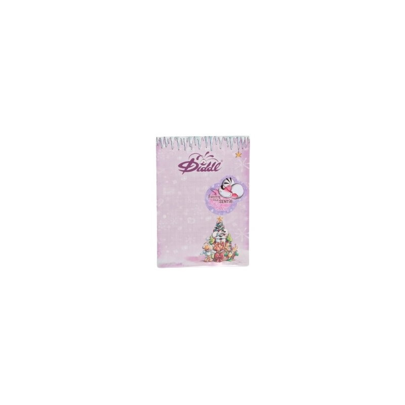 Bloc parfumé A6 Collection hiver | Diddl et Pimboli Violet