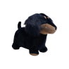 Animal sauteur | Teckel