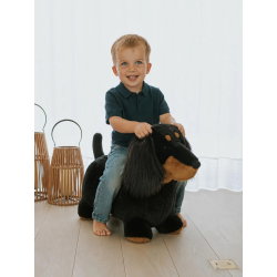 Animal sauteur | Teckel