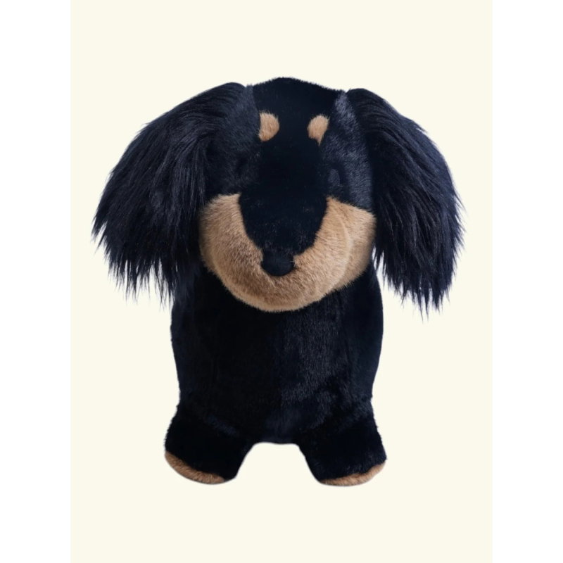 Animal sauteur | Teckel