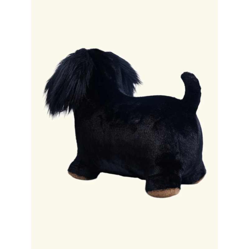 Animal sauteur | Teckel