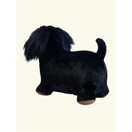 Animal sauteur | Teckel - Wild and soft