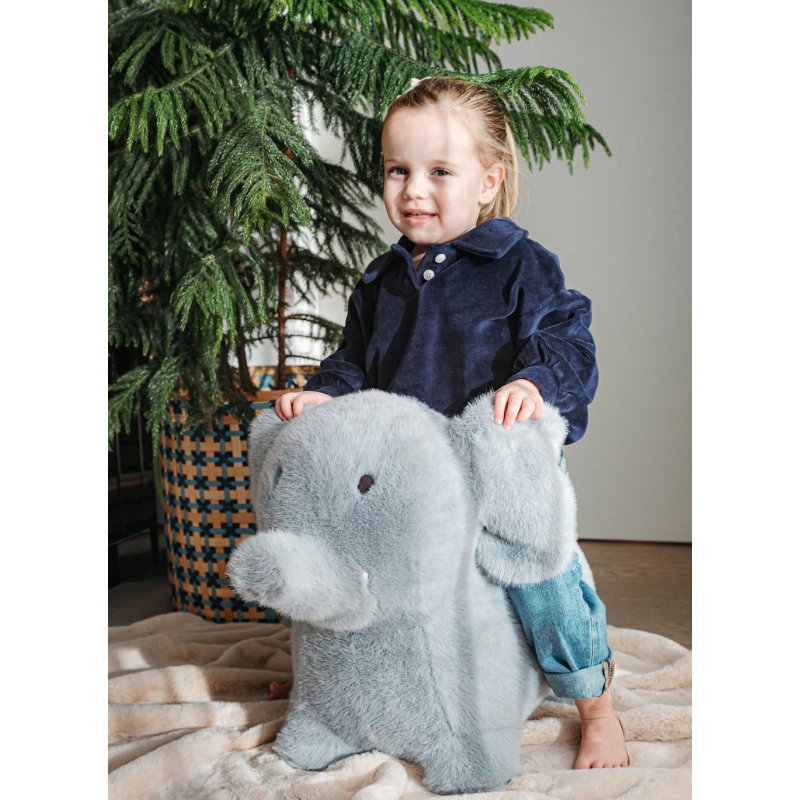Animal sauteur | Elephant