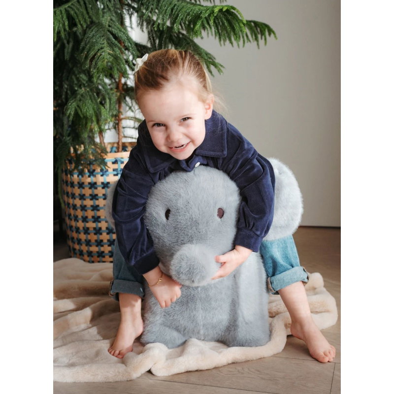Animal sauteur | Elephant