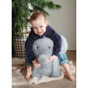 Animal sauteur | Elephant