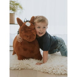 Animal sauteur | Cheval