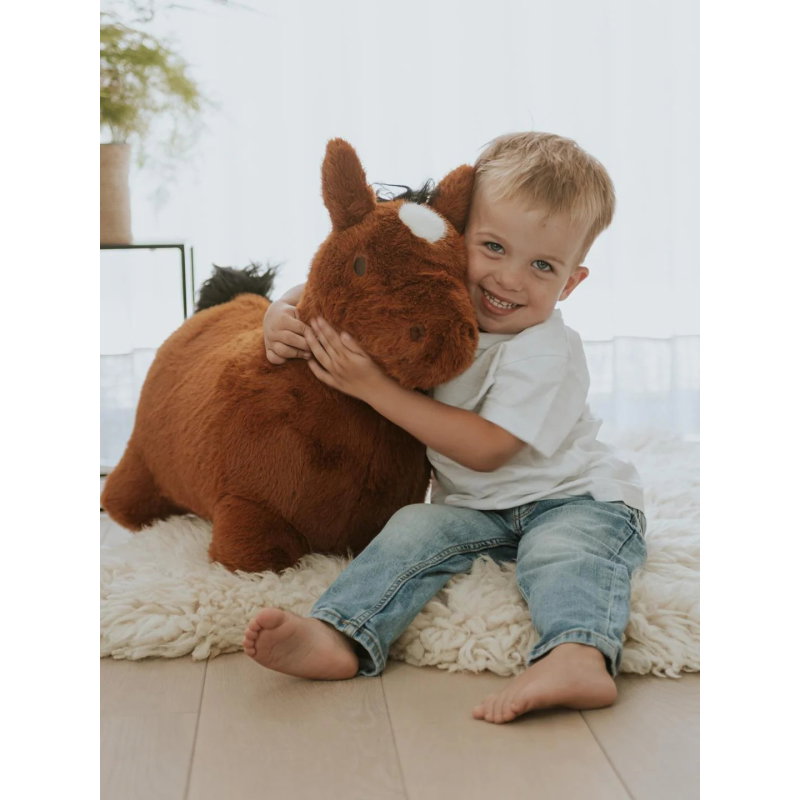 Animal sauteur | Cheval