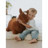 Animal sauteur | Cheval
