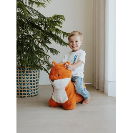 Animal sauteur | Renard - Wild and soft