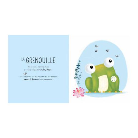Livre sonore : Les petits habitants de la jungle par Sassi double page 2 Livre sonore : Les petits habitants de la jungle par Sassi double page 2